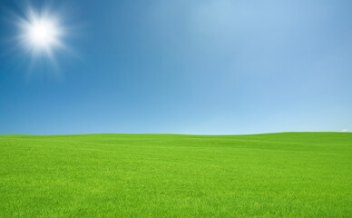 Fototapeta na wymiar 緑の草原と雲と太陽