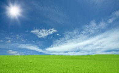 Obraz na płótnie Canvas 緑の草原と雲と太陽