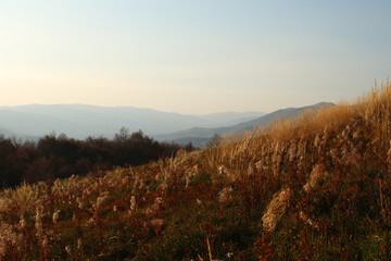 polskie g&oacute;ry, Bieszczady