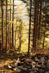 polskie g&oacute;ry, Bieszczady