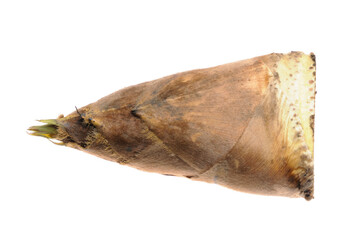 白バックに竹の子