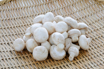 籠に入れたマッシュルーム