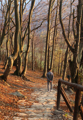 polskie g&oacute;ry, Bieszczady