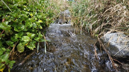pequeño riachuelo