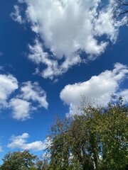 sky and clouds, trees , landscape 