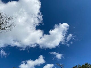 Fototapeta premium sky and clouds, landscape 
