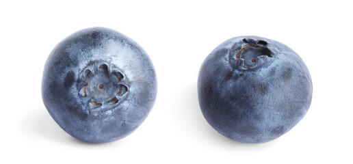 Two fresh whole blueberries on white background