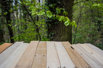 Springtime Table With Fresh And Green Leaves With Blurred Natural Forest Background