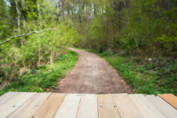 Simply wooden empty with lots of free space on the wooden table. Springtime blurred background with green leaves wooden planks.