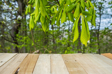 Simply wooden empty with lots of free space on the wooden table. Springtime blurred background with green leaves wooden planks.