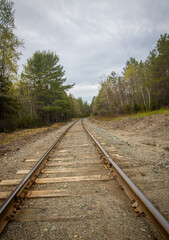 Fototapeta premium empty railroads tracks in Canada