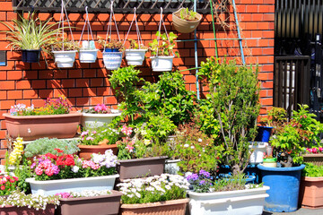 玄関先のガーデニング © Paylessimages