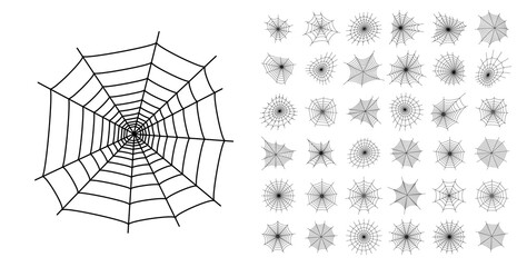 Obraz premium Spider web concept