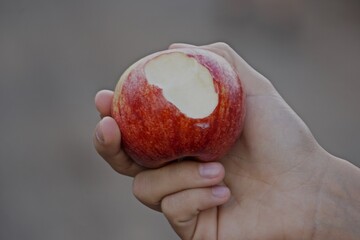 manzana mascada