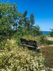 bench at a lookout