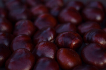 fresh chestnut textured background