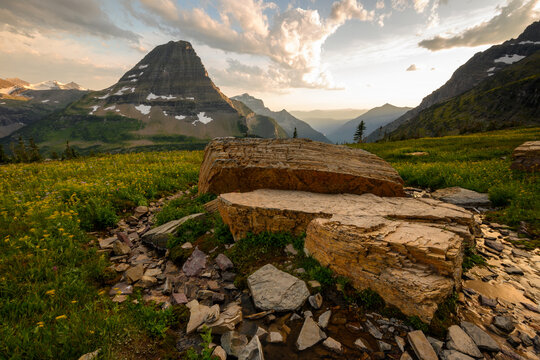 Stream Breaks Around Boulders on Logan Pass