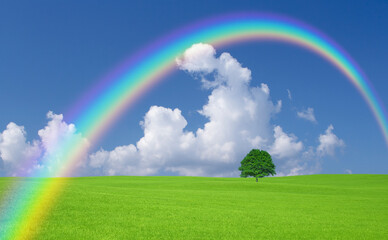 Naklejka premium 草原の一本木と雲と虹