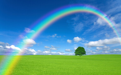 Naklejka premium 草原の一本木と雲と虹