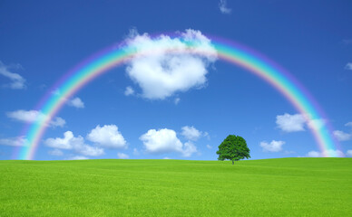 Naklejka premium 草原の一本木と雲と虹