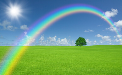 Obraz na płótnie Canvas 草原の一本木と雲と太陽と虹