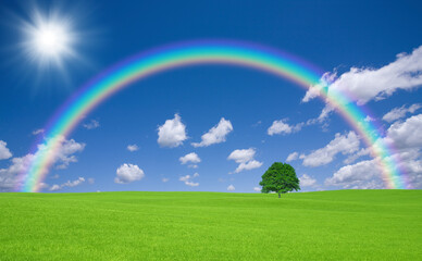Naklejka premium 草原の一本木と雲と太陽と虹