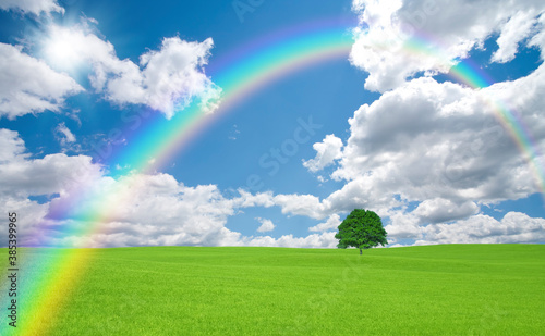 草原の一本木と雲と太陽と虹 Wall Mural Wallpaper Murals Paylessimages