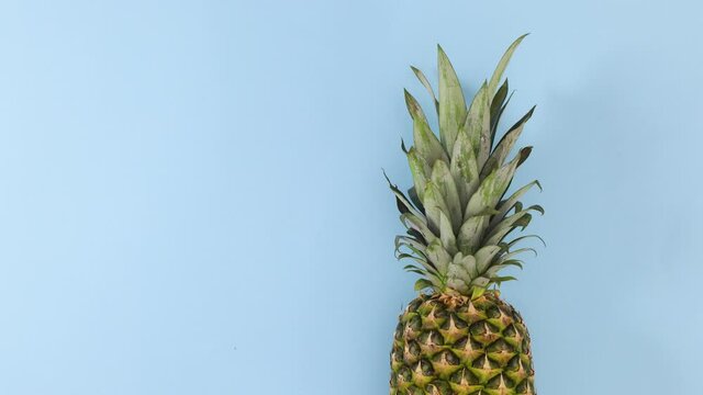 Pineapple rolling on pastel blue theme. Stop motion 