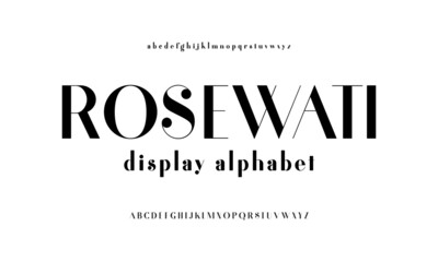 Elegant typography. Modern design typeface.