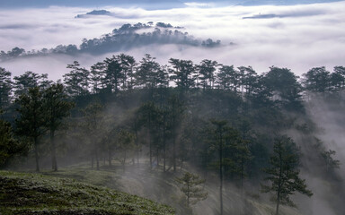 Fototapeta premium fog over the mountains