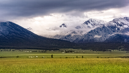 Wallowa valley mists 