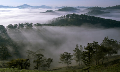 fog in the mountains