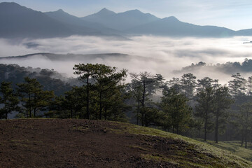 morning in the mountains