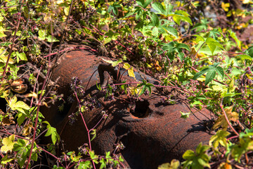 Sad war artifacts and file of old and unexploded bullet and bombs.