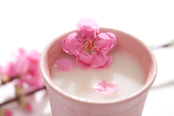 Obraz na płótnie Canvas 桃の花と甘酒