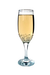 A glass of champagne stands on a white background