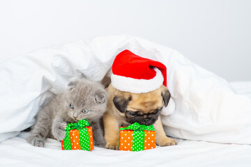 A small pug puppy lies at home under a white blanket next to a small kitten with a santa hat on his head next to two gifts