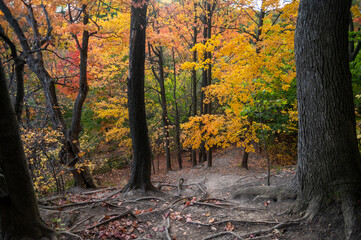 Beautiful colours in the Ravine