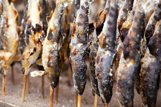 アマゴの塩焼き の画像 43 件の Stock 写真 ベクターおよびビデオ Adobe Stock