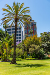 Fototapeta na wymiar Perth City architectural buildings, gardens & highlights.