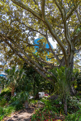 Perth City architectural buildings, gardens & highlights.