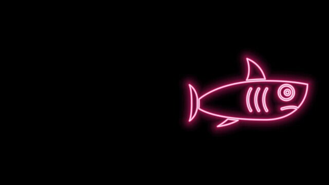 Glowing neon line Shark icon isolated on black background. 4K Video motion graphic animation