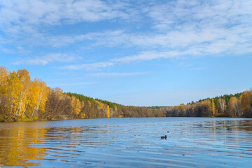 Beautiful autumn landscape with clear blue lake and yellow autumn trees.