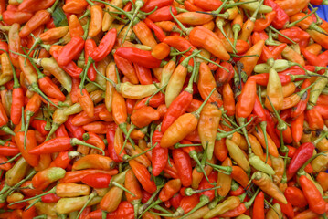 Heaps of bird's eye chilies