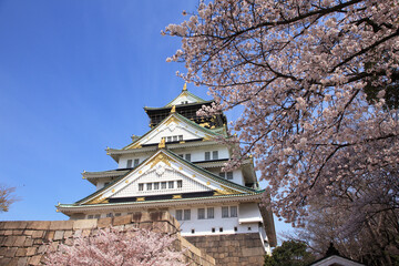 大阪城と桜
