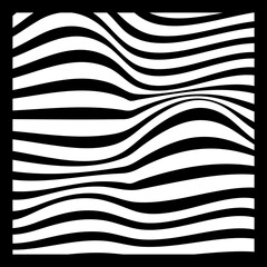 Fototapeta premium Abstract Geometric Background of Fluid Waves with Fashionable Striped Surface Pattern - Black and White, Vector Swirls