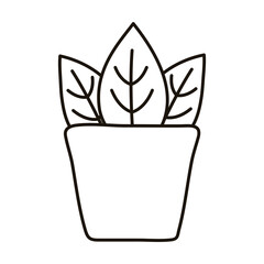 houseplant in pot ceramic isolated icon