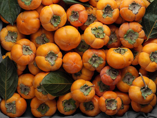 Lots of bright ripe persimmons in the box. Close-up. Seasonal autumn fruit. Top view. Close-up.