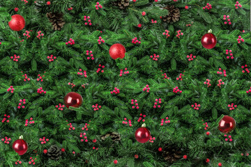 Beautiful Christmas tree branches as background