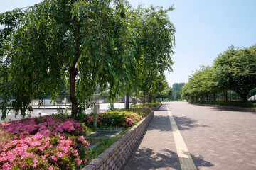 Obraz premium 西東京いこいの森公園（西東京市緑町）